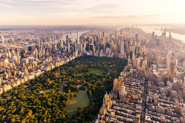 Fillers & Injectables in New York, NY (2025 Guide)