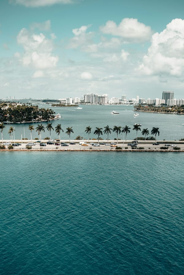 Best Plastic Surgeons in Miami (2025 Guide) (city-wide)