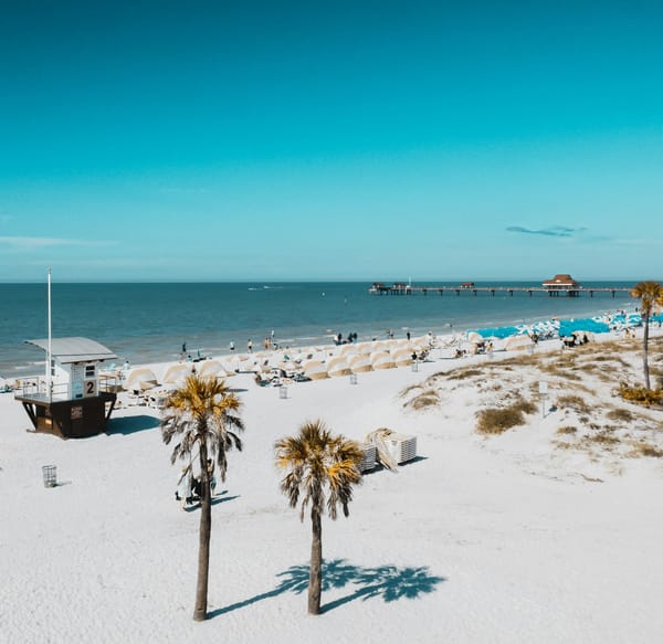 Best Tummy Tuck Surgeons in Tampa (2025 Guide)