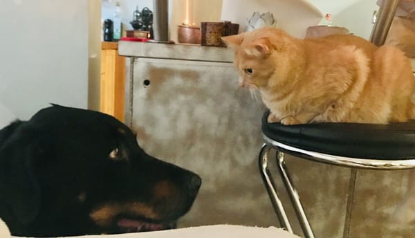 How to Handle It If You Don’t Click With a Surgeon